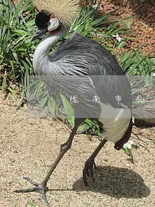 陇南市礼县离婚律师 陇南市礼县离婚律师