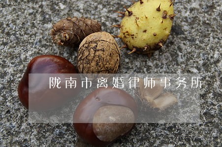 陇南市离婚律师事务所 陇南市离婚律师事务所
