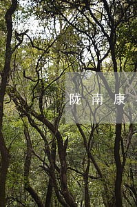 陇南康县合同纠纷律师 陇南康县合同纠纷律师