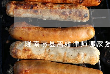 陇南徽县离婚律师哪家强 陇南徽县离婚律师哪家强
