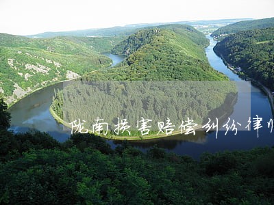 陇南损害赔偿纠纷律师 陇南损害赔偿纠纷律师