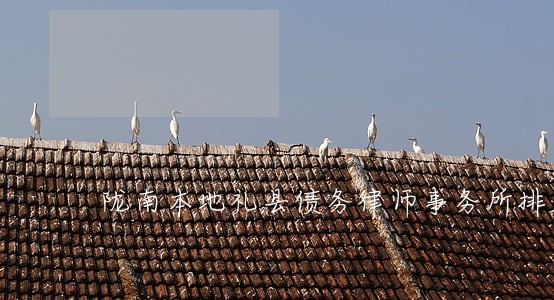 陇南本地礼县债务律师事务所排名 陇南本地礼县债务律师事务所排名