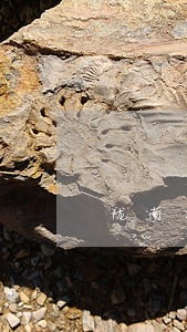 陇南本地礼县债务律师事务所排行 陇南本地礼县债务律师事务所排行