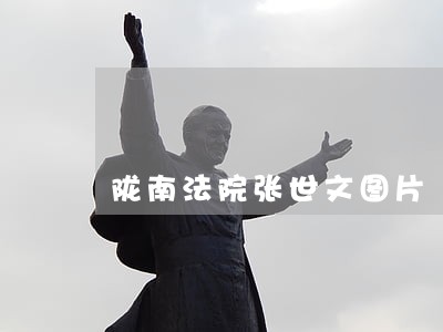陇南法院张世文图片 陇南法院张世文图片
