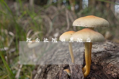 陇南法院扫黑除恶 陇南法院扫黑除恶
