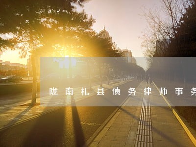 陇南礼县债务律师事务所电话 陇南礼县债务律师事务所电话