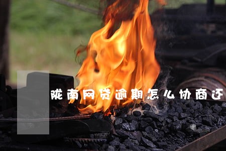 陇南网贷逾期怎么协商还款 陇南网贷逾期怎么协商还款