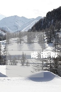 陇南那个律师所好