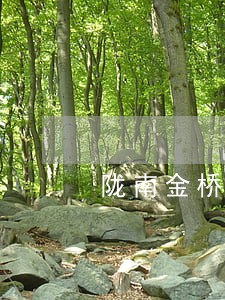 陇南金桥逾期违约金咋 陇南金桥逾期违约金咋