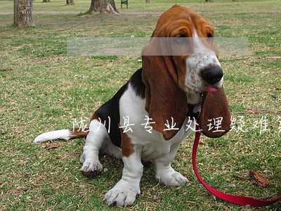 陇川县专业处理疑难案件律师 陇川县专业处理疑难案件律师
