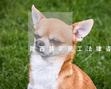 陇西县农民工法律咨询处 陇西县农民工法律咨询处