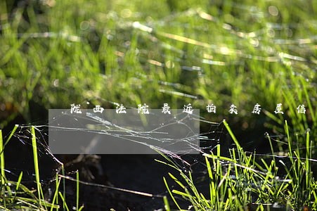陇西法院最近拍卖房屋信息 陇西法院最近拍卖房屋信息