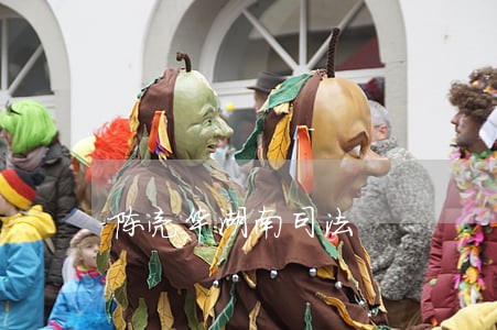 陈亮华湖南司法