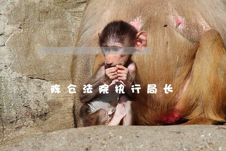 陈仓法院执行局长 陈仓法院执行局长