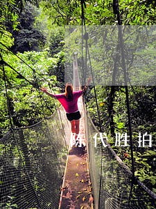 陈代胜拍拍货逾期 陈代胜拍拍货逾期