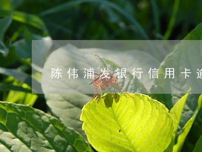 陈伟浦发银行信用卡逾期 陈伟浦发银行信用卡逾期