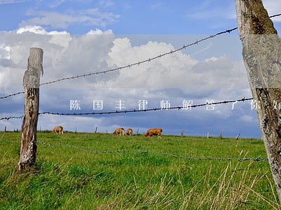 陈国丰律师解答了你好律师 陈国丰律师解答了你好律师