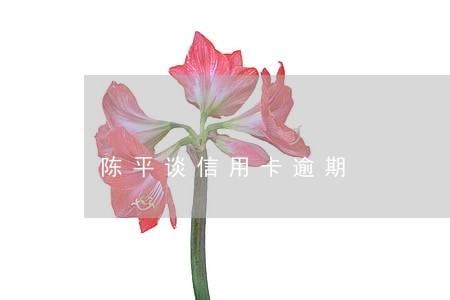 陈平谈信用卡逾期 陈平谈信用卡逾期