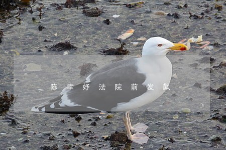 陈幸妤法院前发飙 陈幸妤法院前发飙