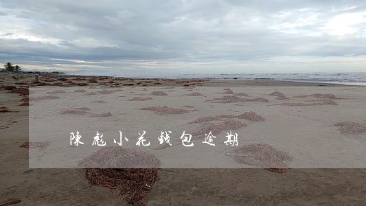 陈彪小花钱包逾期 陈彪小花钱包逾期