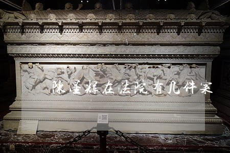 陈星辉在法院有几件案 陈星辉在法院有几件案