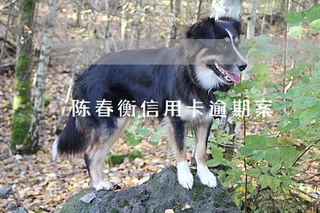 陈春衡信用卡逾期案 陈春衡信用卡逾期案