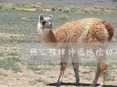 陈立强律师团队抢劫罪辩护律师 陈立强律师团队抢劫罪辩护律师