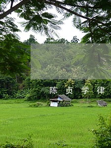 陈贞学律师的微博 陈贞学律师的微博