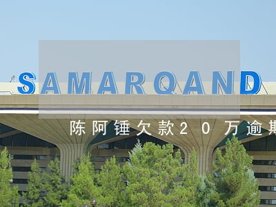 陈阿锤欠款20万逾期10天了 陈阿锤欠款20万逾期10天了