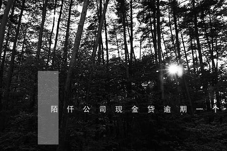 陌仟公司现金贷逾期一个月 陌仟公司现金贷逾期一个月
