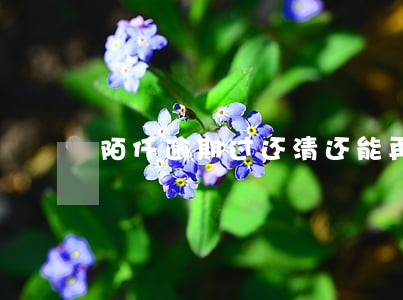陌仟逾期过还清还能再办理吗 陌仟逾期过还清还能再办理吗