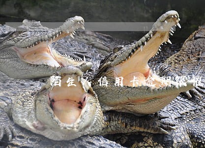 陌生人信用卡逾期银催款 陌生人信用卡逾期银催款