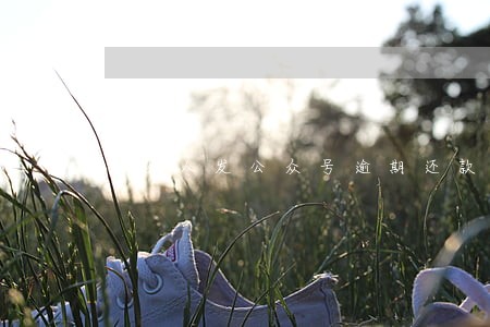 陌生人发公众号逾期还款后果 陌生人发公众号逾期还款后果