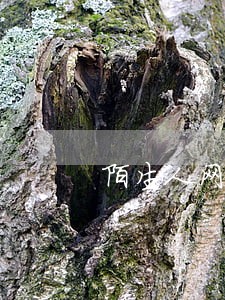 陌生人网贷逾期我被骚扰了怎么办 陌生人网贷逾期我被骚扰了怎么办