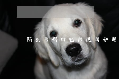 陌生号码打电话说我分期逾期了 陌生号码打电话说我分期逾期了