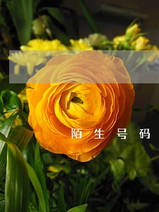 陌生号码打电话过来说逾期三个月 陌生号码打电话过来说逾期三个月
