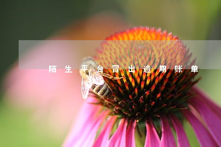 陌生平台冒出逾期账单 陌生平台冒出逾期账单