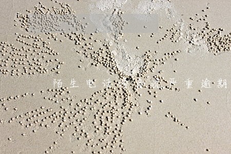 陌生电话语音说严重逾期 陌生电话语音说严重逾期