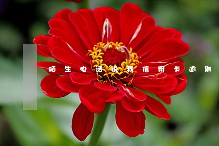 陌生电话说我信用卡逾期 陌生电话说我信用卡逾期