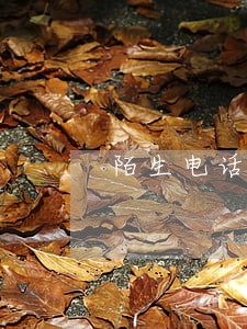 陌生电话说我朋友贷款逾期 陌生电话说我朋友贷款逾期