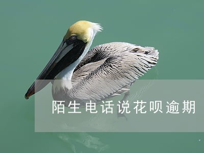 陌生电话说花呗逾期