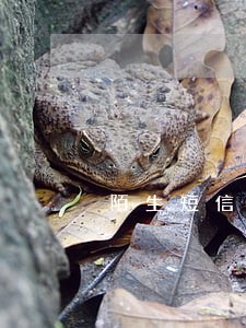 陌生短信号码说我欠款逾期