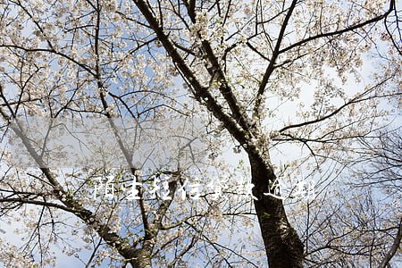 陌生短信贷款逾期 陌生短信贷款逾期