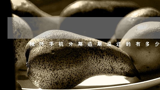 陌阡手机分期逾期没还的有多少人