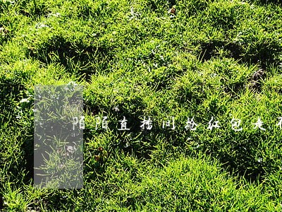 陌陌直播间抢红包是不是违法呀