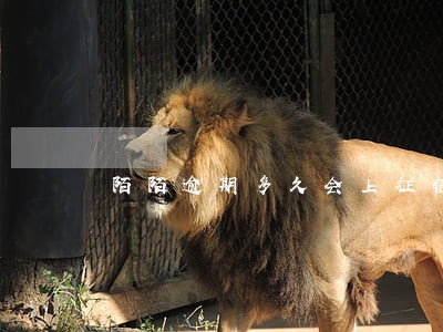 陌陌逾期多久会上征信 陌陌逾期多久会上征信