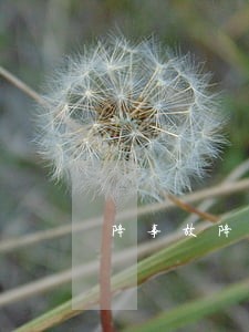 降事故降违法迎春运安全竞赛