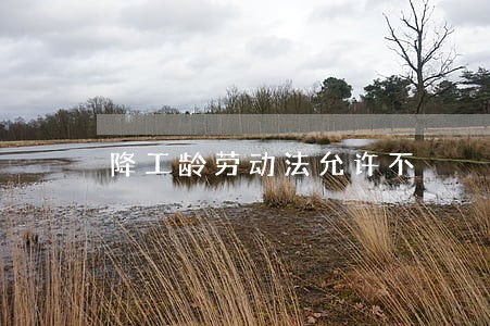 降工龄劳动法允许不 降工龄劳动法允许不