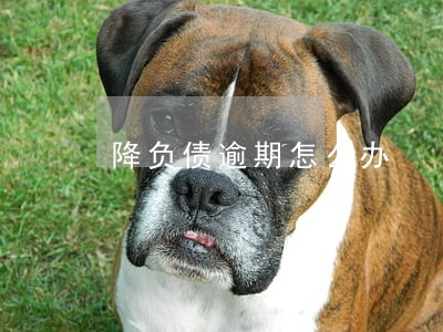 降负债逾期怎么办 降负债逾期怎么办