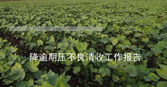 降逾期压不良清收工作报告 降逾期压不良清收工作报告